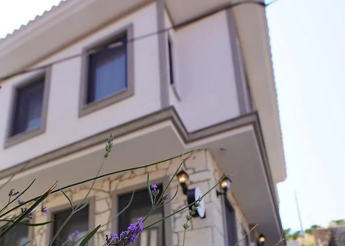 Achilles בוזקאדה